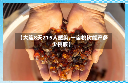 【大连8天215人感染,一亩桃树能产多少桃胶】-第3张图片