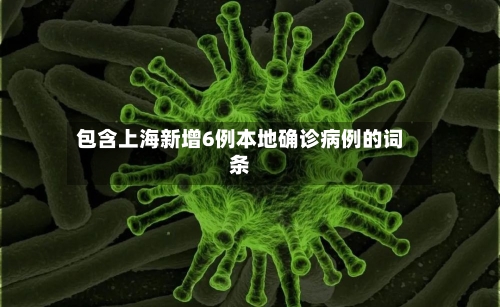 包含上海新增6例本地确诊病例的词条