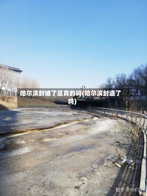 哈尔滨封城了是真的吗(哈尔滨封道了吗)