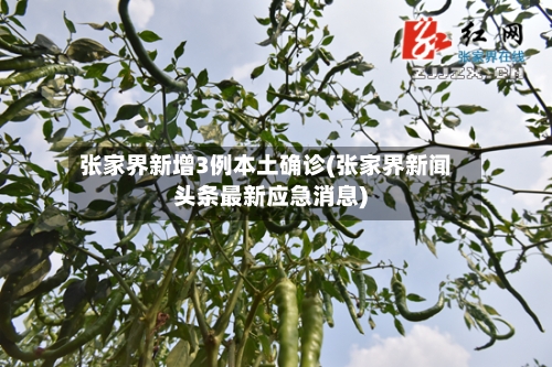 张家界新增3例本土确诊(张家界新闻头条最新应急消息)-第2张图片