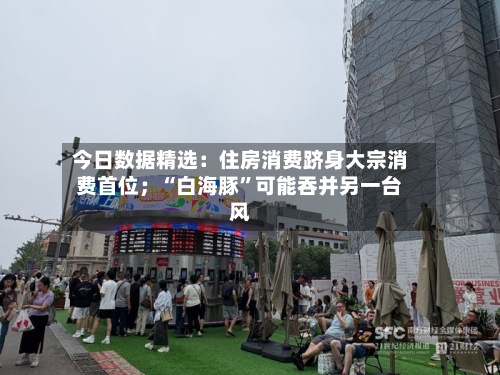 今日数据精选：住房消费跻身大宗消费首位；“白海豚	”可能吞并另一台风-第2张图片