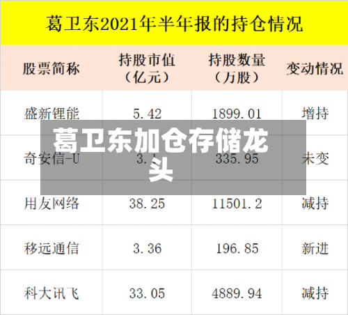 葛卫东加仓存储龙头