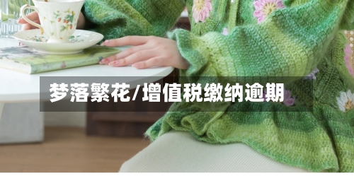 梦落繁花/增值税缴纳逾期-第2张图片
