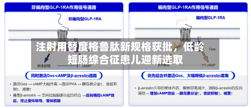 注射用替度格鲁肽新规格获批	，低龄短肠综合征患儿迎新选取-第2张图片