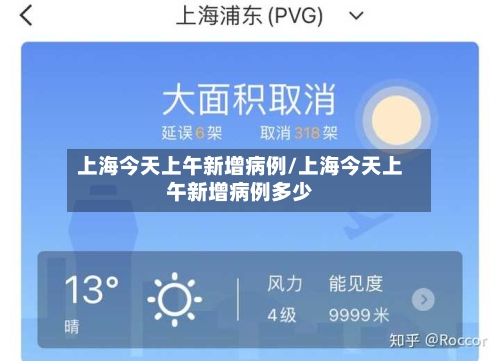 上海今天上午新增病例/上海今天上午新增病例多少