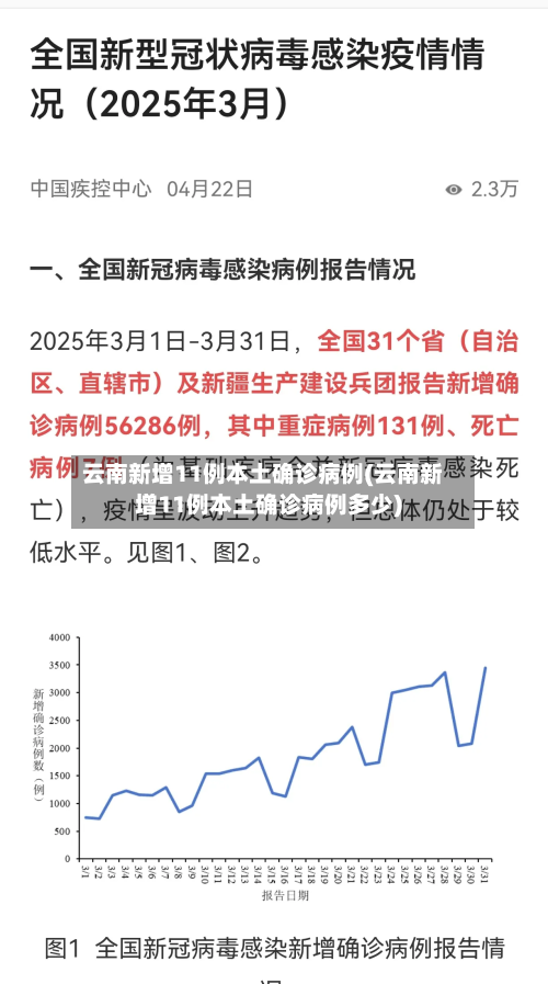 云南新增11例本土确诊病例(云南新增11例本土确诊病例多少)-第2张图片