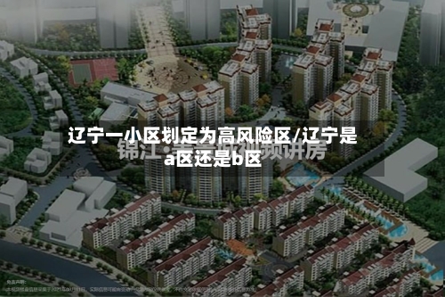 辽宁一小区划定为高风险区/辽宁是a区还是b区