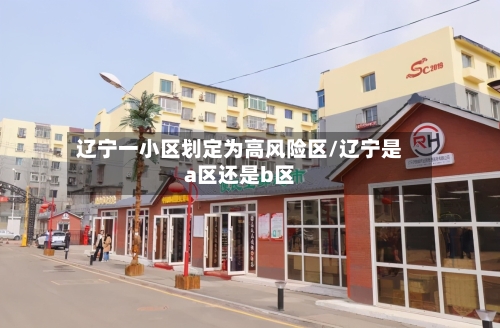 辽宁一小区划定为高风险区/辽宁是a区还是b区-第2张图片