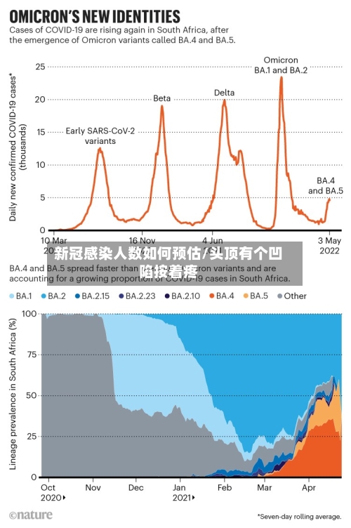 新冠感染人数如何预估/头顶有个凹陷按着疼-第3张图片