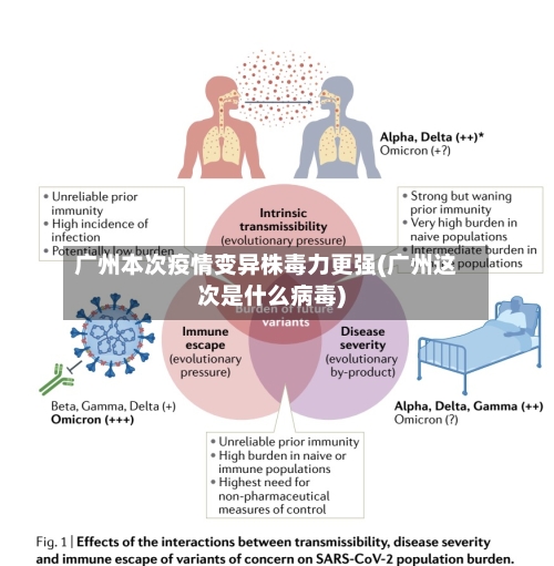 广州本次疫情变异株毒力更强(广州这次是什么病毒)-第2张图片