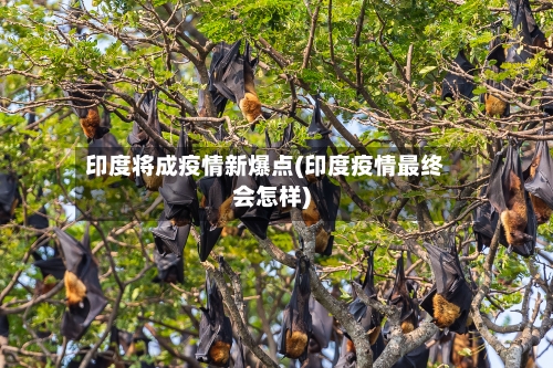 印度将成疫情新爆点(印度疫情最终会怎样)-第2张图片