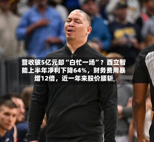 营收破5亿元却“白忙一场”？酉立智能上半年净利下降64%	，财务费用暴增12倍，近一年来股价腰斩-第2张图片