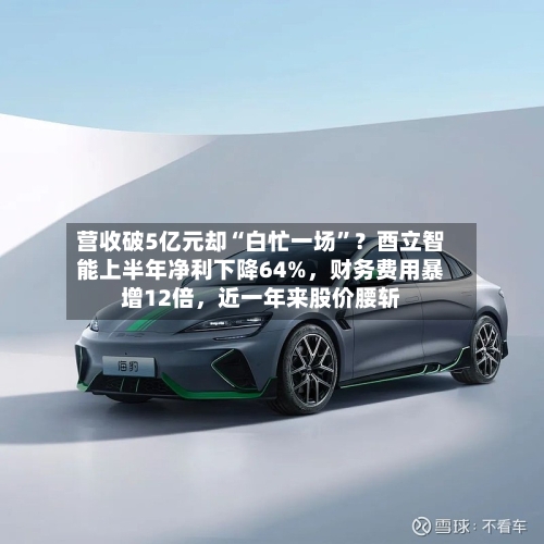 营收破5亿元却“白忙一场	”？酉立智能上半年净利下降64%	，财务费用暴增12倍，近一年来股价腰斩-第3张图片