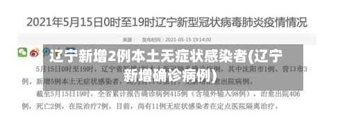 辽宁新增2例本土无症状感染者(辽宁新增确诊病例)-第2张图片