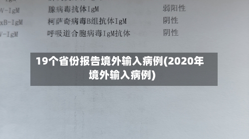 19个省份报告境外输入病例(2020年境外输入病例)-第2张图片