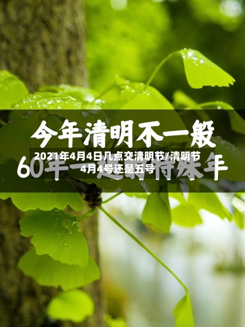 2021年4月4日几点交清明节/清明节4月4号还是五号-第2张图片