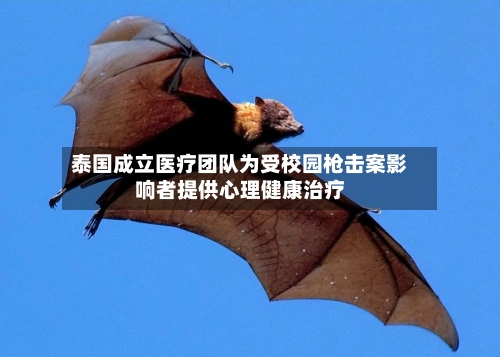 泰国成立医疗团队为受校园枪击案影响者提供心理健康治疗-第2张图片