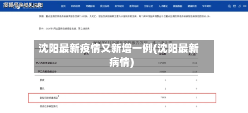 沈阳最新疫情又新增一例(沈阳最新病情)-第2张图片