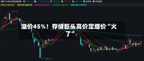 溢价45%！存储巨头高价定增价“火了”-第2张图片