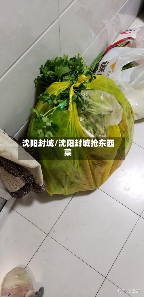 沈阳封城/沈阳封城抢东西菜