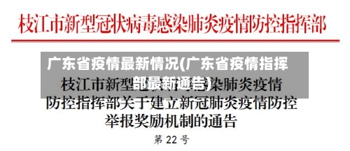 广东省疫情最新情况(广东省疫情指挥部最新通告)-第2张图片