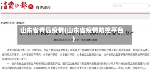 山东省青岛疫情(山东省疫情防控平台)-第3张图片