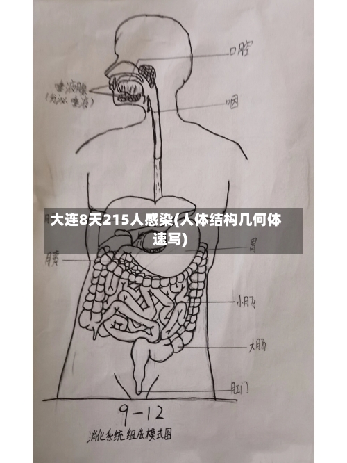 大连8天215人感染(人体结构几何体速写)-第2张图片