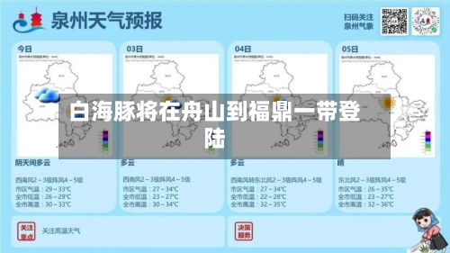 白海豚将在舟山到福鼎一带登陆