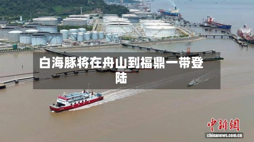 白海豚将在舟山到福鼎一带登陆-第2张图片