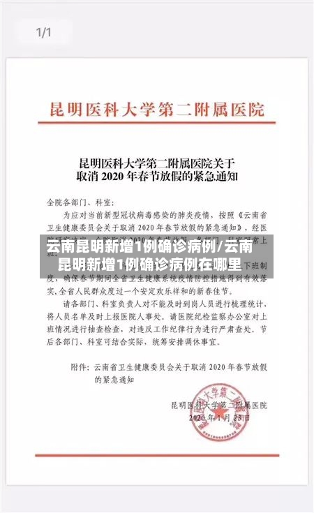 云南昆明新增1例确诊病例/云南昆明新增1例确诊病例在哪里-第3张图片