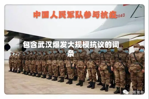 包含武汉爆发大规模抗议的词条-第2张图片