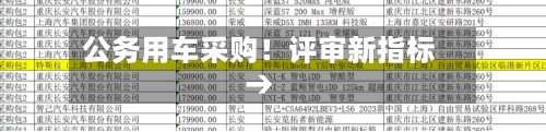 公务用车采购!评审新指标→-第3张图片