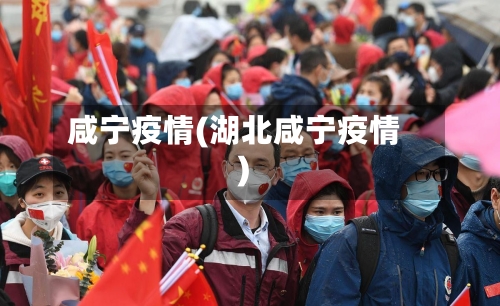 咸宁疫情(湖北咸宁疫情)