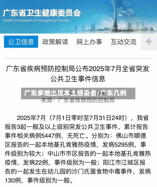 广东多地出现本土感染者/广东几例