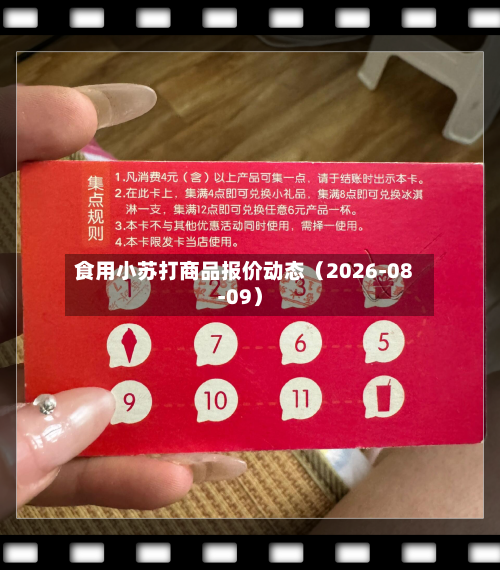 食用小苏打商品报价动态（2026-08-09）-第2张图片