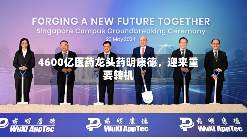 4600亿医药龙头药明康德	，迎来重要转机-第2张图片