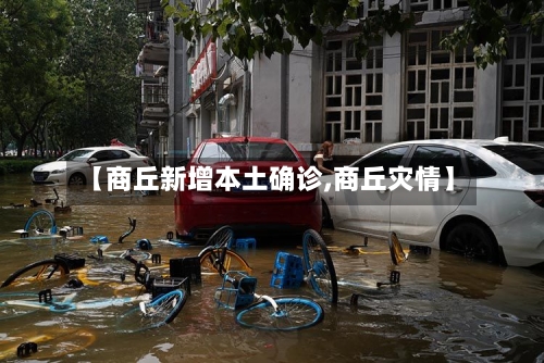 【商丘新增本土确诊,商丘灾情】-第2张图片