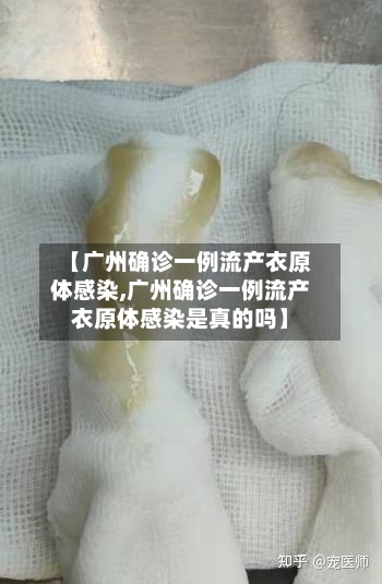 【广州确诊一例流产衣原体感染,广州确诊一例流产衣原体感染是真的吗】