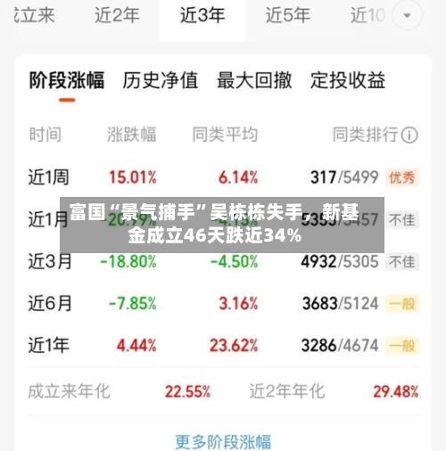 富国“景气捕手”吴栋栋失手，新基金成立46天跌近34%-第3张图片