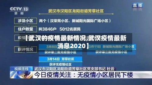 【武汉的疫情最新情况,武汉疫情最新消息2020】-第3张图片