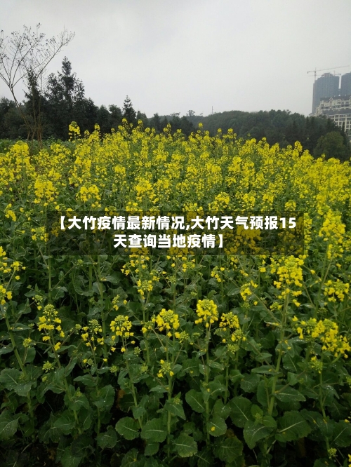 【大竹疫情最新情况,大竹天气预报15天查询当地疫情】