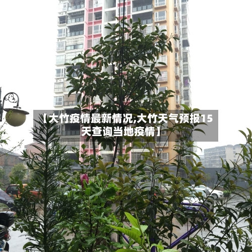 【大竹疫情最新情况,大竹天气预报15天查询当地疫情】-第3张图片