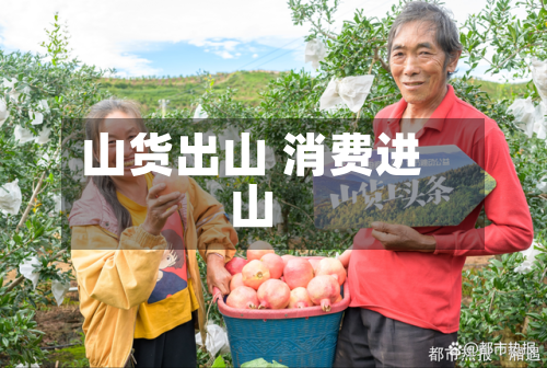 山货出山 消费进山-第2张图片