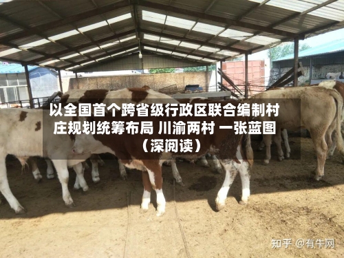 以全国首个跨省级行政区联合编制村庄规划统筹布局 川渝两村 一张蓝图（深阅读）-第2张图片