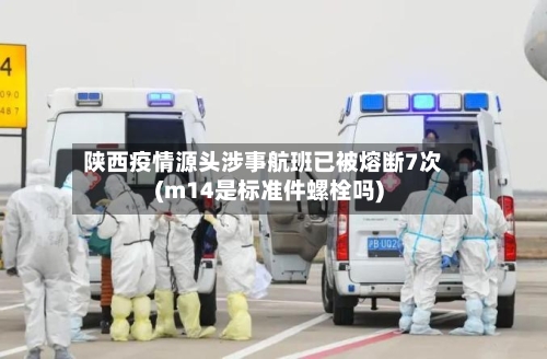 陕西疫情源头涉事航班已被熔断7次(m14是标准件螺栓吗)