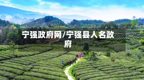 宁强政府网/宁强县人名政府