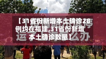 【31省份新增本土确诊28例均在福建,31省份新增本土确诊数量】