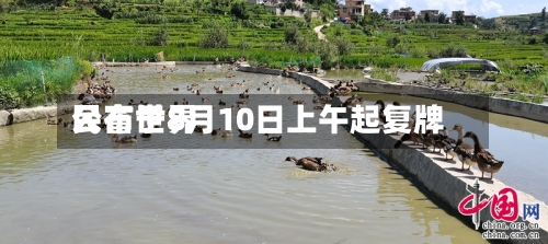 民富世界公布于8月10日上午起复牌-第2张图片