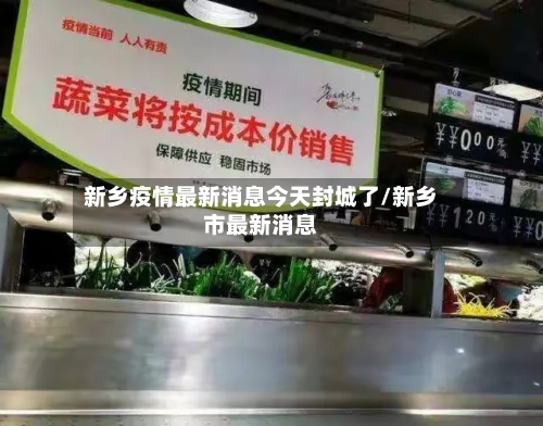 新乡疫情最新消息今天封城了/新乡市最新消息-第2张图片
