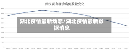 湖北疫情最新动态/湖北疫情最新数据消息-第2张图片